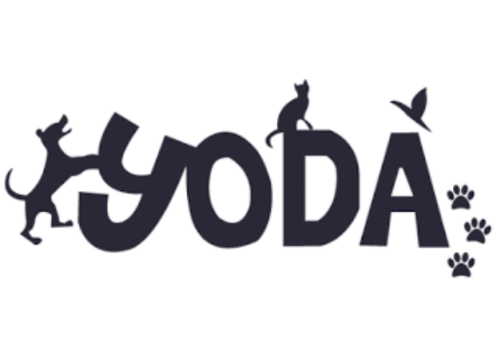 Yoda